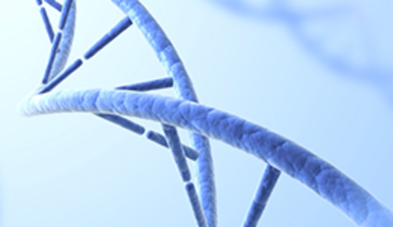 2024年危險廢物污染環境防治信息公示